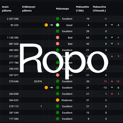 Ropo OneView Pro