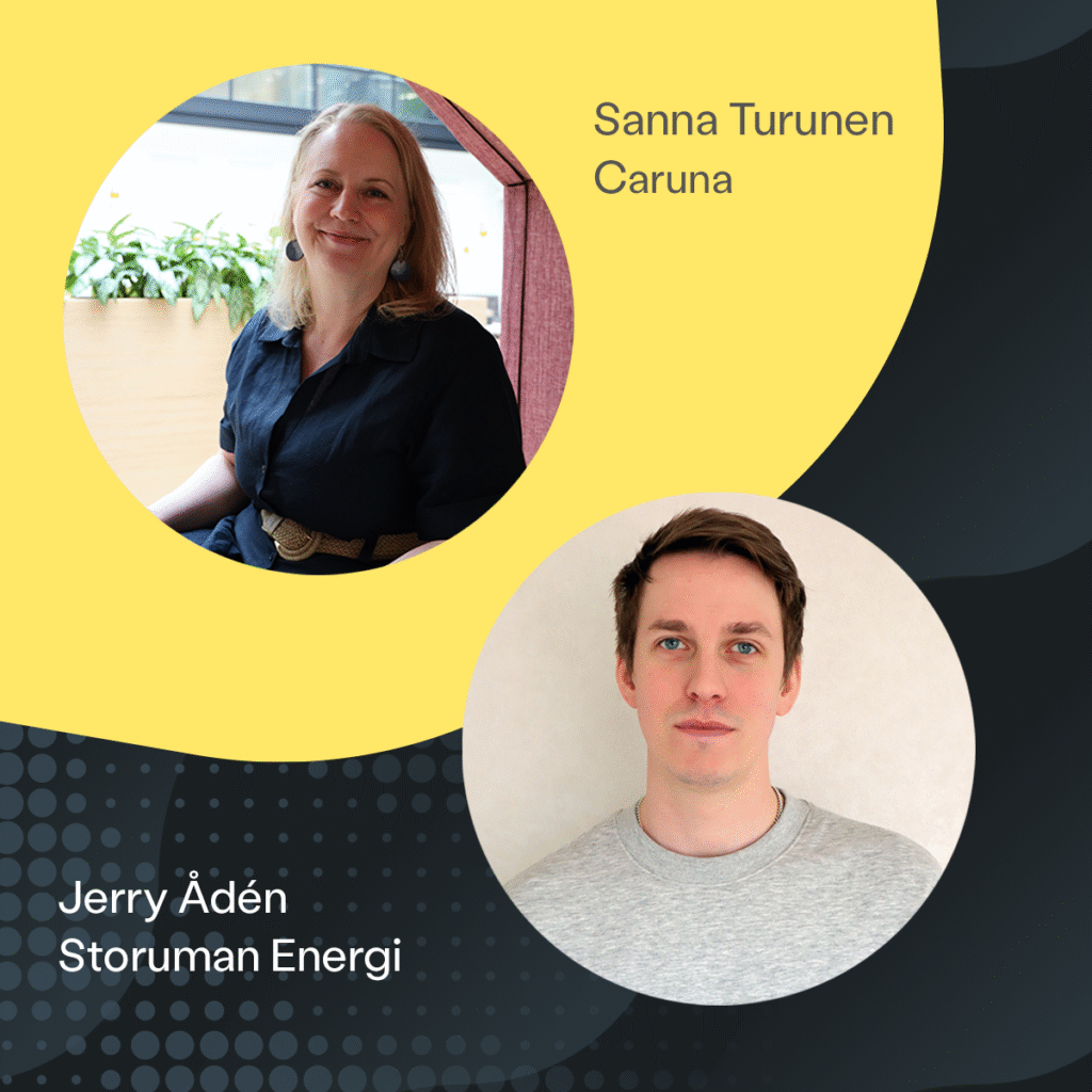 Caruna - Storuman Energi